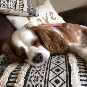 Meet your Posher, Victoria